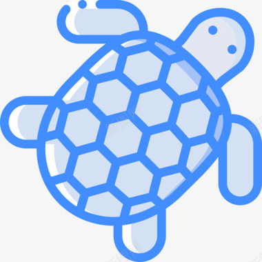 海龟热带27蓝色图标图标