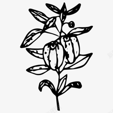 甜椒灌木手绘图标图标