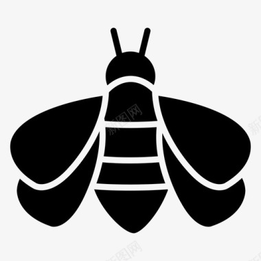 大黄蜂虫子昆虫图标图标