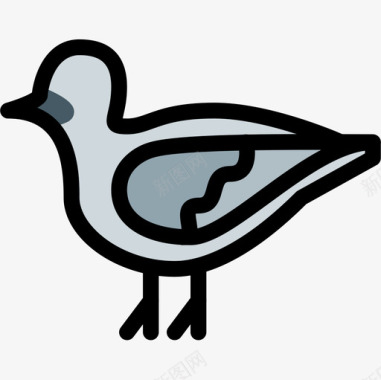 鸽子动物43线形颜色图标图标