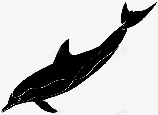 宽吻海豚哺乳动物跳蚤图标图标