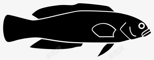 斑点鱼鱼海洋图标图标