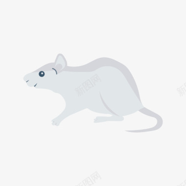 老鼠老鼠动物20扁平图标图标