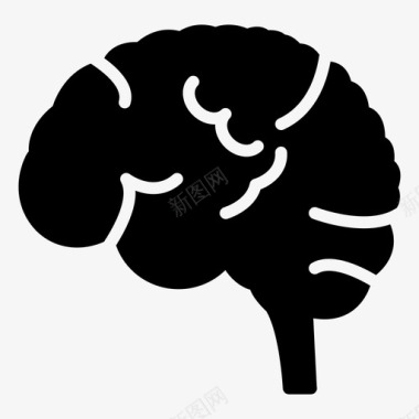 神经脑结构智力心智图标图标