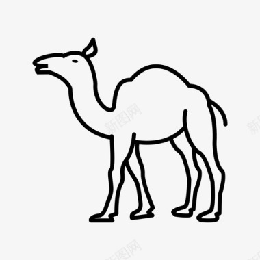 骆驼动物26伊斯兰图标图标