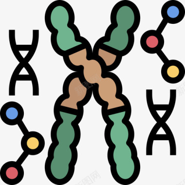 DNADna遗传学和生物工程3线性颜色图标图标