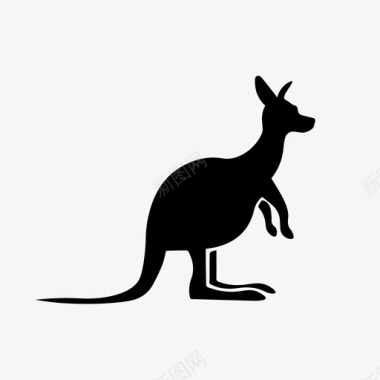 袋鼠澳大利亚跳跃动物图标图标