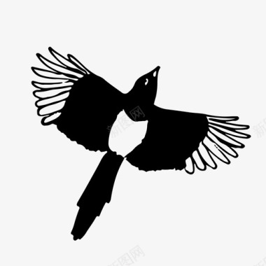 飞翔的和平鸽喜鹊小鸟飞翔图标图标