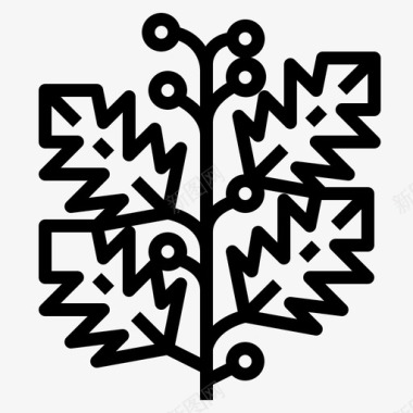 冬青树枝自然图标图标