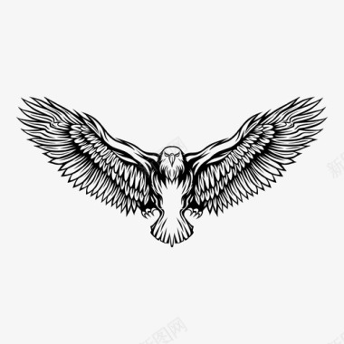 翅膀鹰动物鸟图标图标