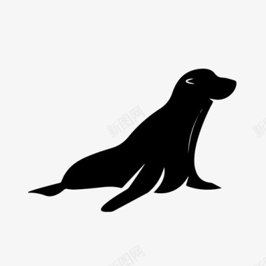 澳洲悉尼歌剧院毛皮海豹哺乳动物海狮图标图标