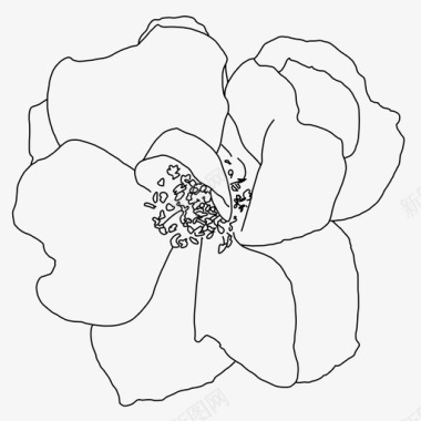 手绘玫瑰花园线条艺术花图标图标