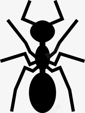 灭害虫蚂蚁害虫图标图标
