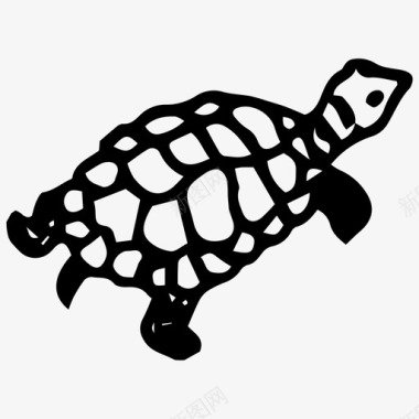 海龟手绘海洋图标图标