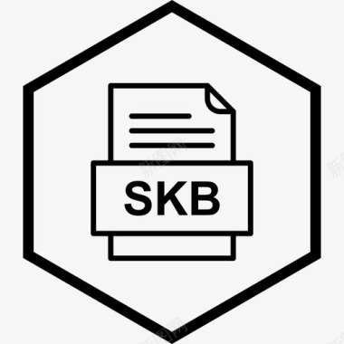 xlsx格式的文件skb文件文件文件类型格式图标图标