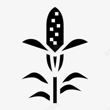 玉米树玉米谷类食品有机食品图标图标