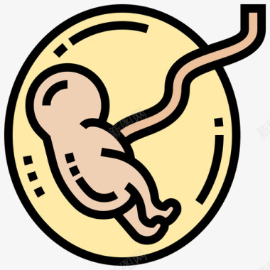 胎儿健康检查4线色图标图标