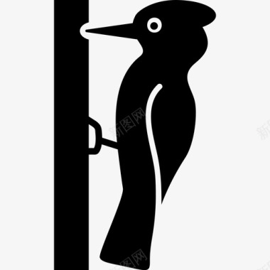 啄木鸟动物喙图标图标