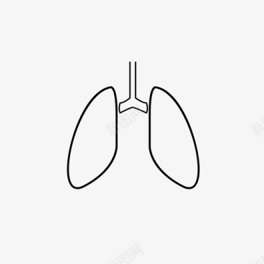 肾脏器官肺器官图标图标