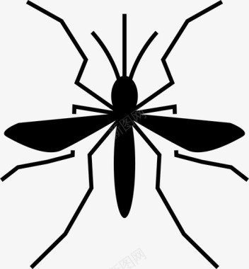 蚊虫伊蚊登革热图标图标