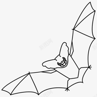 蝙蝠万圣节夜晚图标图标