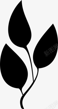 自然公园叶生长自然图标图标