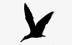 黑撇黑撇子鸟海鸟图标高清图片