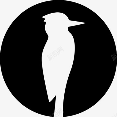动物啄木鸟动物喙图标图标