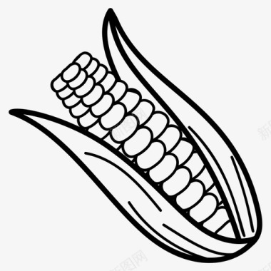 玉米芯玉米成熟玉米图标图标