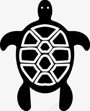 海龟海洋生物乌龟图标图标