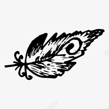 鸟羽毛手绘钢笔图标图标