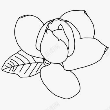 木兰花自然图标图标