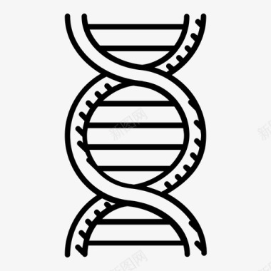 学校的剪影dna生物学dna序列图标图标