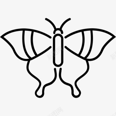 蝴蝶飞行昆虫图标图标