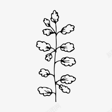 花旋转植物树枝花图标图标