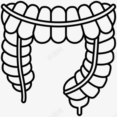 肾脏器官大肠肠结肠图标图标