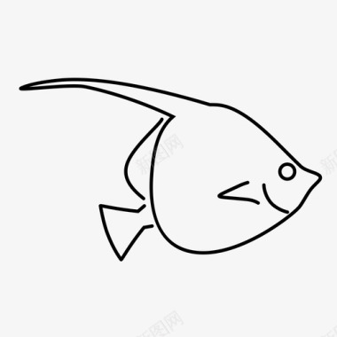 神仙鱼动物鱼类图标图标