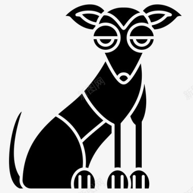 品种狗品种棕色图标图标