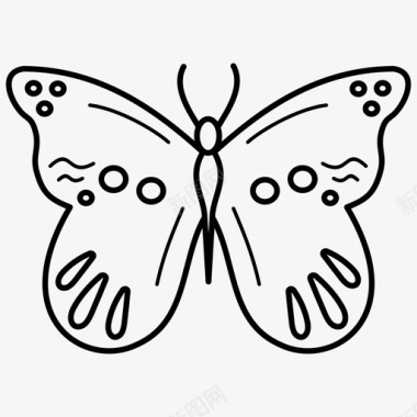 异域蝴蝶飞蛾热带雨林动物图标图标