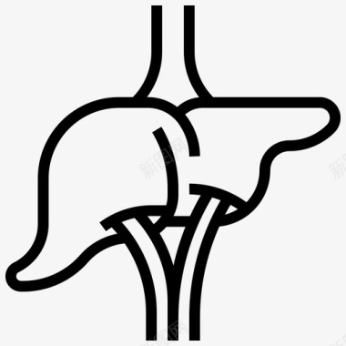 肝脏人体解剖学1线性图标图标