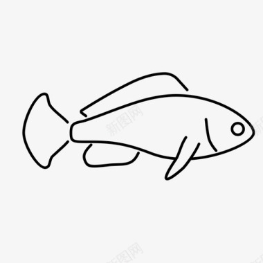 岩浆濑鱼动物鱼图标图标