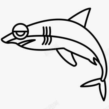 鲨鱼角齿苋危险图标图标