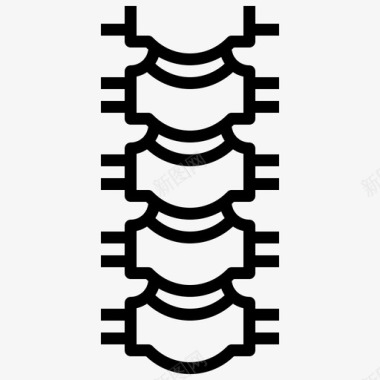 间隔柱脊柱人体解剖学1线性图标图标