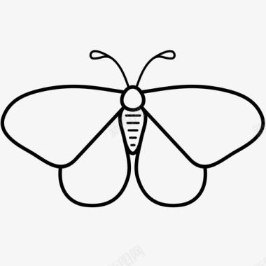 蝴蝶昆虫飞蛾图标图标