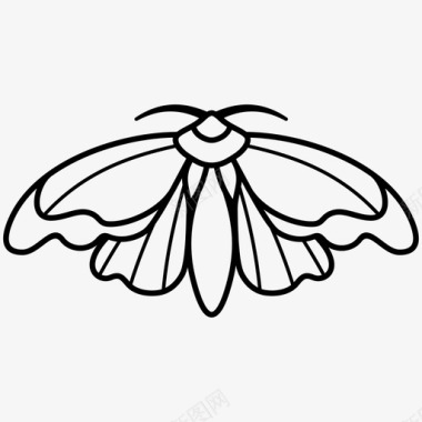 飞蛾蝴蝶纹身图标图标