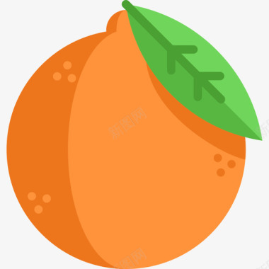 橙色水果蔬菜13扁平图标图标