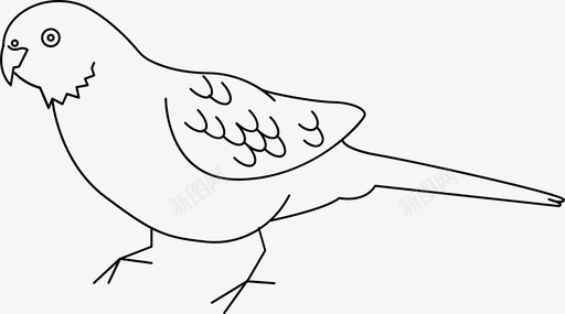 鹦鹉鸟彩色图标图标