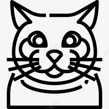 英国短毛动物猫图标图标