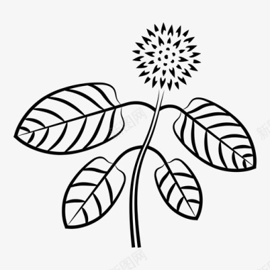 桔梗属植物枝桠草本植物图标图标