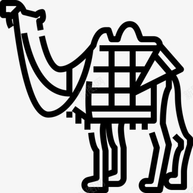 骆驼骆驼动物沙漠图标图标